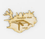 Viðarsegull Hvalur – Humpback Whale